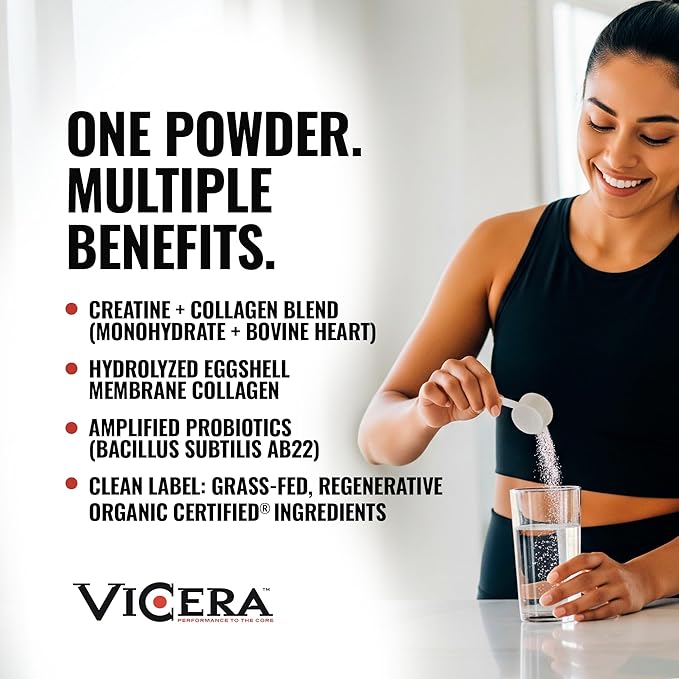 Chocolate Protein + Berry Flavor Creatine Collagen Powder A2/A2 Whey Casein Protein with Probiotics and Celtic Sea Salt (20 Servings) Creatine and Collagen Supplement Gluten Free (30 Servings)