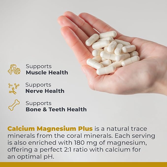 Premier Research Labs Calcium Magnesium Plus - Calcium Magnesium Supplement Calcium Supplement for Bone Health with Mushroom Complex - Reishi &amp Lions Mane - 90 Vegetarian Capsules