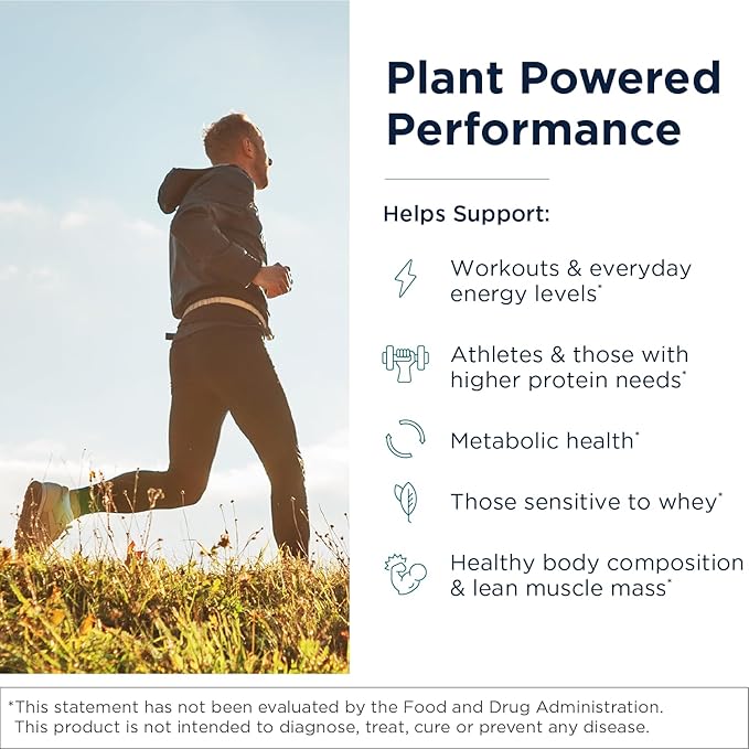 Designs for Health Phytotein Vegan Protein Powder - 20g Organic Rice Sacha Inchi Pumpkin Seed Sunflower Seed &amp Pea Protein Powder Blend - Creamy Texture Vanilla Plant Protein (465g)
