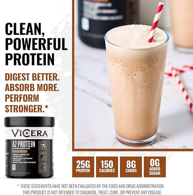 Chocolate Protein + Very Berry Electrolytes + Berry Creatine Collagen Powder A2/A2 Whey Casein Protein (20 Servings) Hydration Packets (30 Count) Creatine and Collagen Supplement (30 Servings)