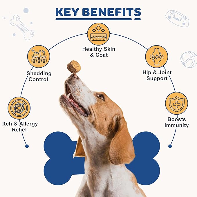 Freeze Dried Chews and Soft Chews Dog Omega 3 Supplements