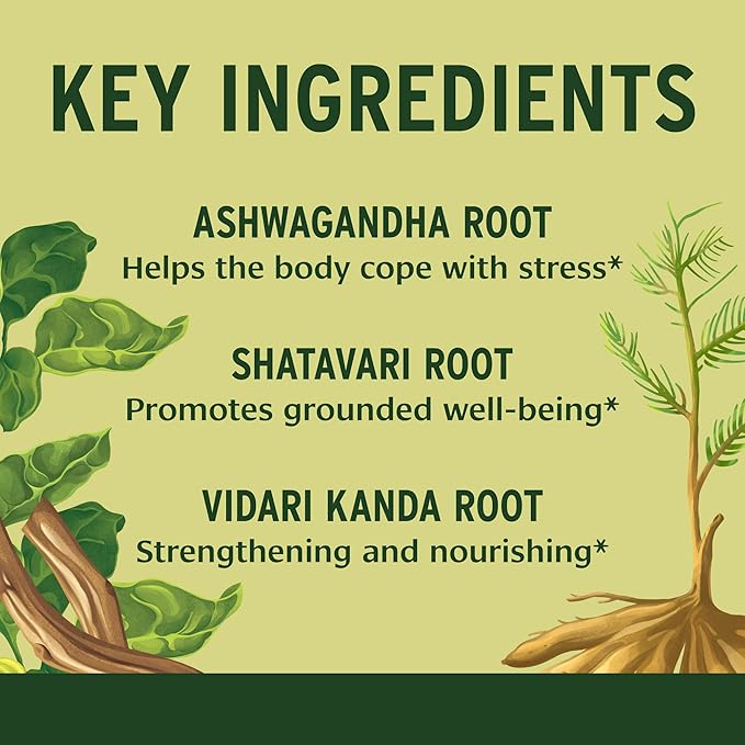 Banyan Botanicals Organic Healthy Vata –Grounding &amp Stability Supplement–with Ashwagandha Shatavari &amp Mucuna–Natural Support for Restful Sleep Dryness &amp Scattered Thoughts-90 Tablets-USD