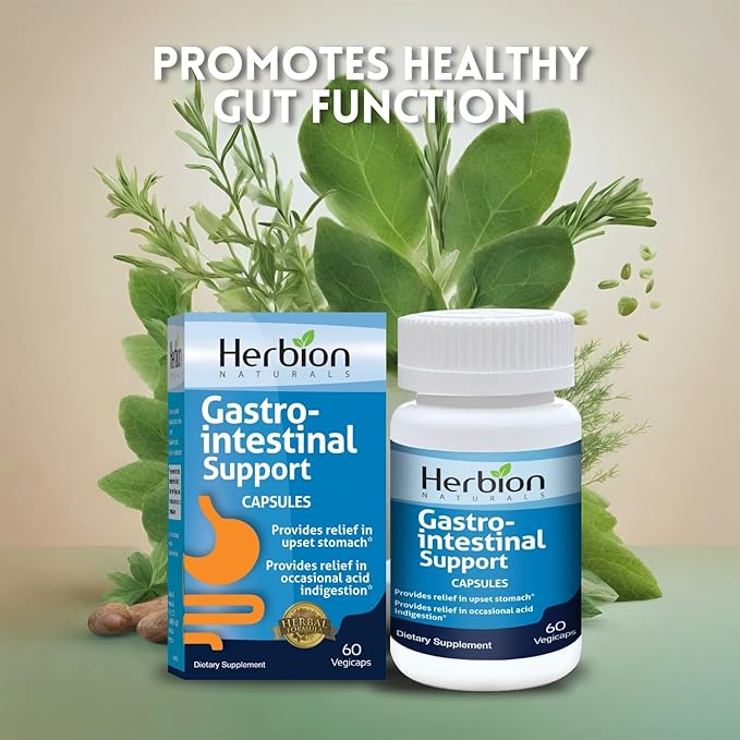 HERBION Naturals Gastro-intestinal Support Herbal Blend for Upset Stomach Relief Gastrointestinal Health and Function Occasional Acid Indigestion Healthy Intestinal Flora 60 Vegicaps - Pack of 4