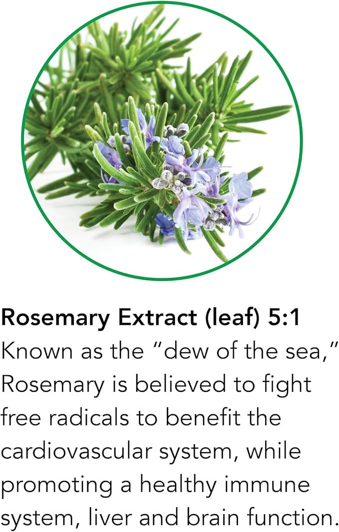 Botanic Choice Passion Flower Rosemary Leaf &amp Gymnema Sylvestre Extracts Bundle – Daily Overall Wellness Kit for Overall Wellbeing (1 fl. Oz. Each)
