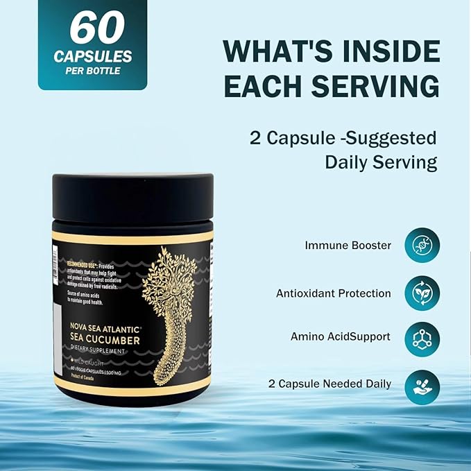 Sea Cucumber Supplement Wild Caught Sea Cucumber Capsules with Fucosylated Chondroitin Vitamins Mineral — Natural Antioxidant Supplement for Elderly Adult Child (Pack of 6)