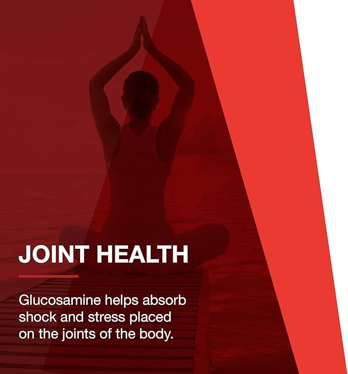 PROTOCOL FOR LIFE BALANCE Glucosamine &amp Chondroitin with MSM - Joint Support* - Chondroitin MSM Supplement - Non-GMO &amp Dairy Free - 90 Veg Caps
