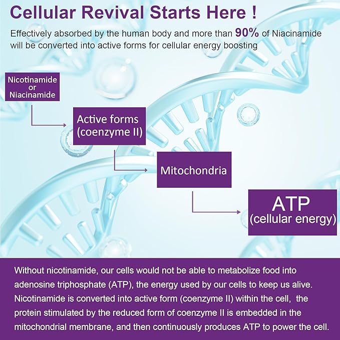 NEVISS Vegan Iron Supplement Gentl Iron + Sugar Free Nicotinamide 500mg Gummies