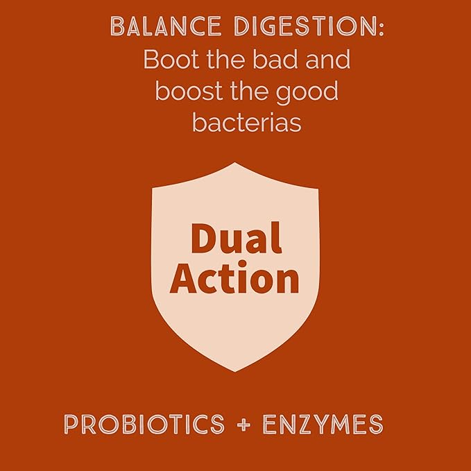 Bacillus B3 Probiotic Complex &amp Enzymes – 100% Spore-Based Organisms - SBO - Better Survivability - Bacillus Coagulans Bacillus Subtilis &amp Bacillus Clausii - Non GMO - 60 Capsules