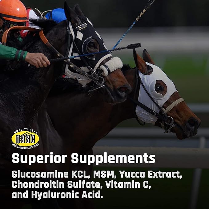 Majesty's Flex HA Wafers - Superior Performance Horse/Equine Joint Support Supplement - HA Vitamin C Yucca Glucosamine (Peppermint 2 Pack (120 Count Total))
