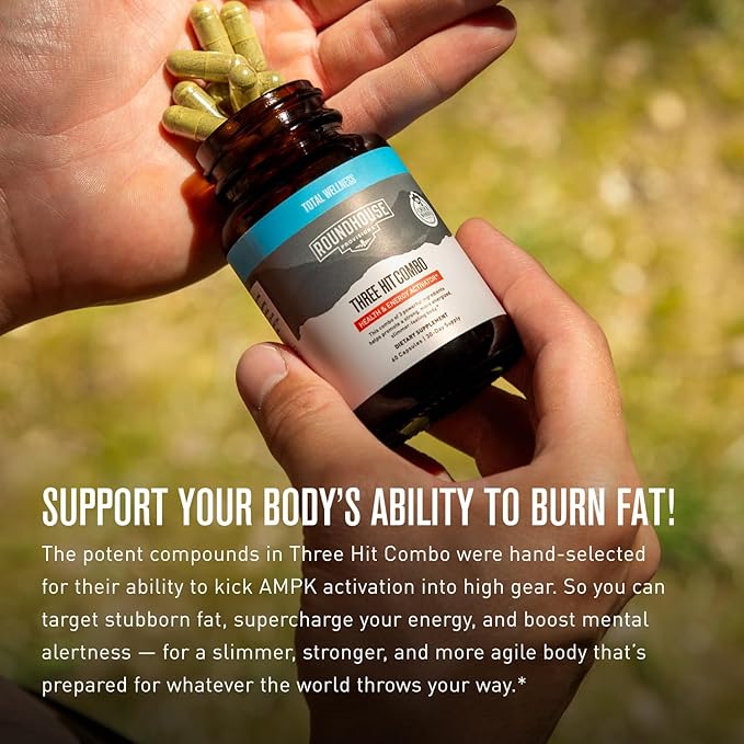 ROUNDHOUSE PROVISION Morning Kick Zero Sugar Greens Superfood Powder Supplement 3 Pack &amp Three Hit Combo – Burn Fat Boost Energy and Support Wellness by Chuck Norris