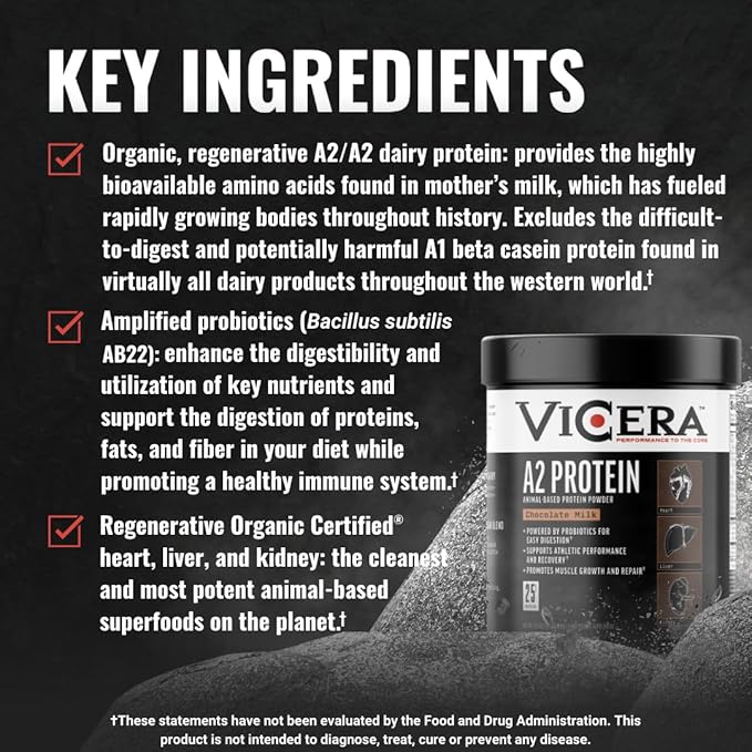 Chocolate Protein + Very Berry Electrolytes + Berry Creatine Collagen Powder A2/A2 Whey Casein Protein (20 Servings) Hydration Packets (30 Count) Creatine and Collagen Supplement (30 Servings)