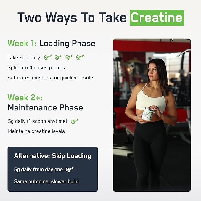 SteelFit Creapure Creatine Monohydrate Powder Unflavored - German Micronized Creatine Powder for Men &amp Women - Gym Workout Nutritional Supplements for Muscle Gain Brain Health &amp Strength Bui