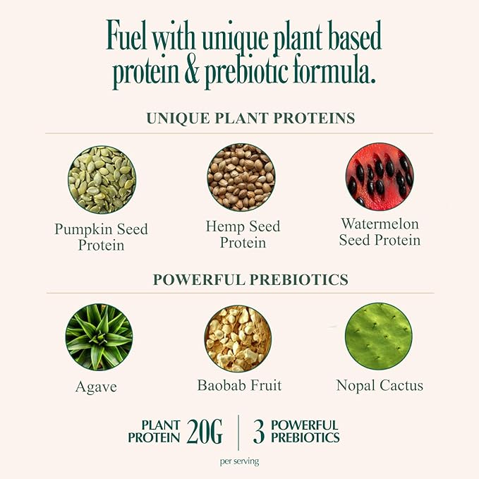 Coolside Superfood Plant Protein – 20g Smooth Seed Protein Blend – Prebiotic Fiber for Easy Digestion – Superfoods and Greens - Daily Wellness Shake for Health and Longevity - Chocolate