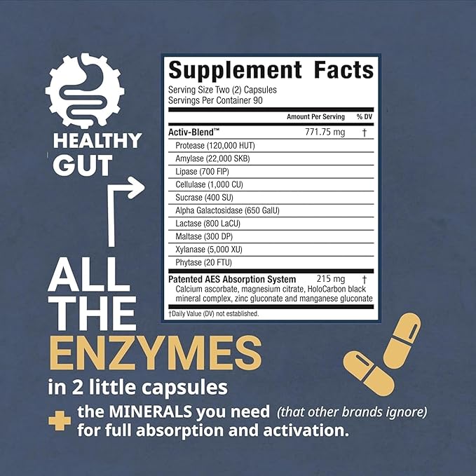 Healthy Gut HoloZyme Digestive Enzymes 180 Capsules and Magnesium-HP 90 Capsules