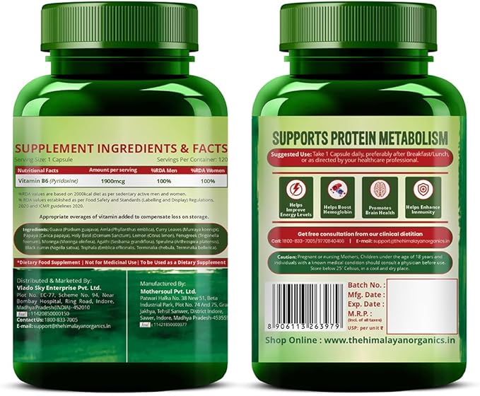 Himalayan Organics Organics Plant-Based Vitamin B6 | Supports Immunity Brain Health (120 Capsules)