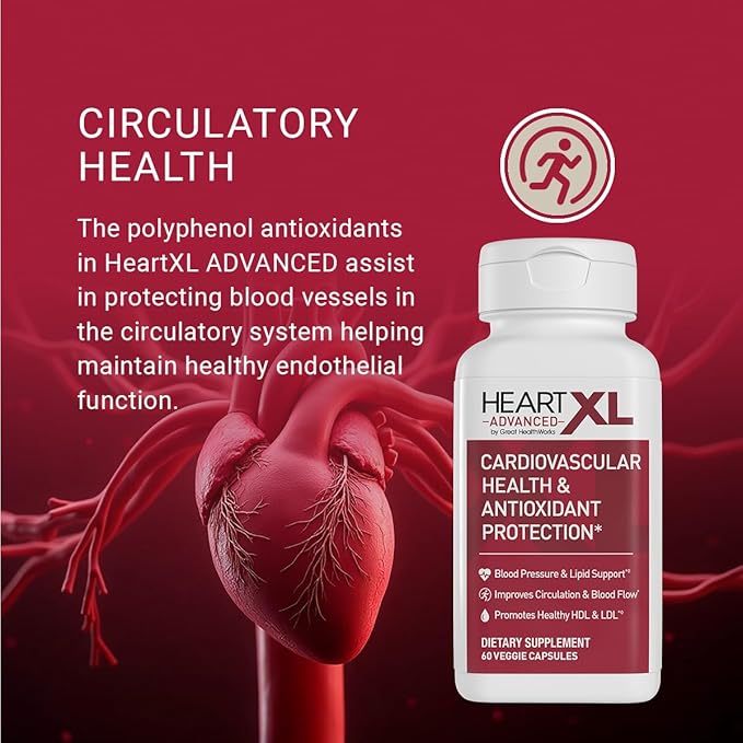 OmegaXL HeartXL Advanced - Heart Health Supplement - Three clinically Studied Mediterranean antioxidant extracts - Supports Blood Pressure Cholesterol and Circulatory Health (60 Capsules)