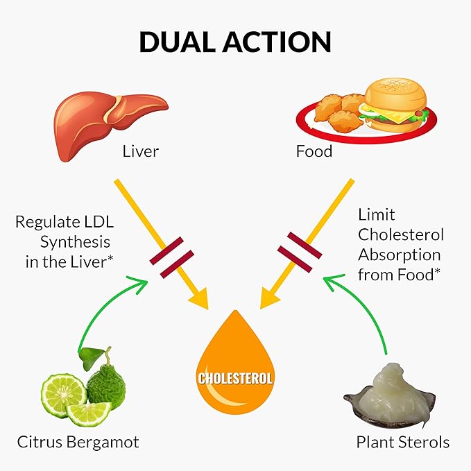 UpNourish Plant Sterols Citrus Bergamot Supplement with CoQ10 Omega 3 Olive Leaf Turmeric Curcumin Black Garlic and Niacin - 120 Softgels