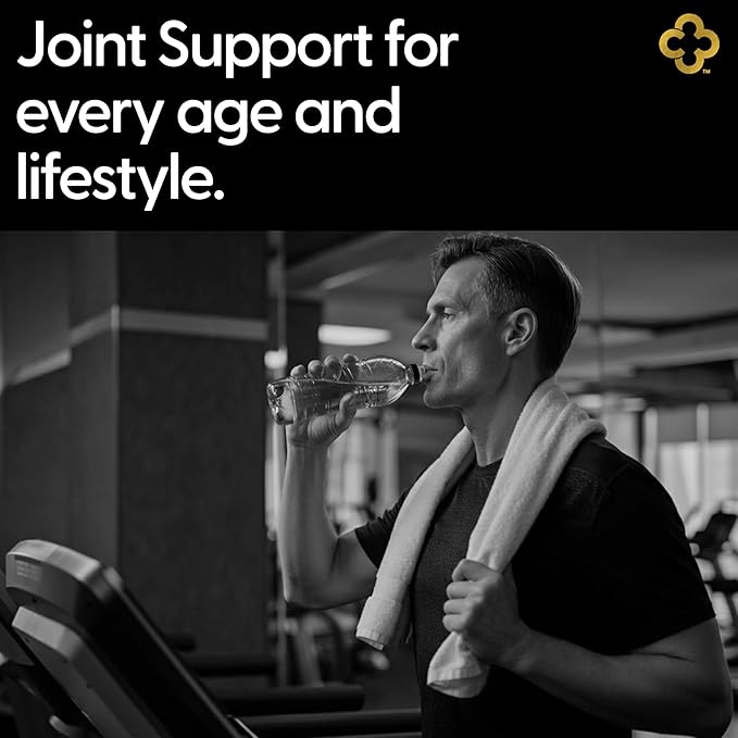 Glucosamine Chondroitin MSM All-in-One Joint Support Supplement Turmeric Hyaluronic Acid Boswellia Ginger Root Bamboo BioPerine Black Pepper Supports Joint Health &amp Flexibility 90 Count
