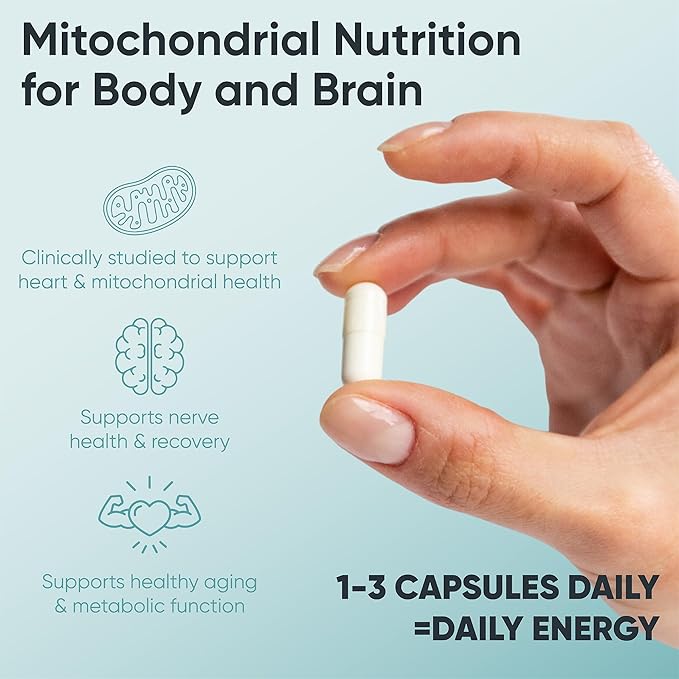 Acetyl-L-Carnitine 500 mg – Highly Bioavailable ALCAR for Cellular Energy &amp Wellness – Vegan Non-GMO Gluten-Free – 60 Veg Capsules