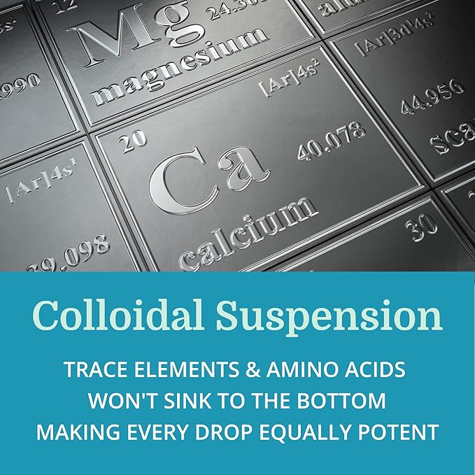 Morter Trace Minerals in Colloidal Suspension (12 Pack) Morter HealthSystem Best Process Alkaline — Nutrient Dense Trace Elements Fulvic Minerals &amp Amino Acids