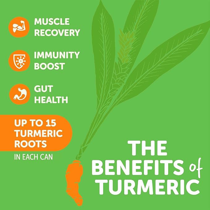 ZYN Turmeric Wellness Drink (6 Pack) Mango Lychee Flavored Turmeric Curcumin with Black Pepper No Added Sugar Low Carb &amp Low Calorie Clean Alternative