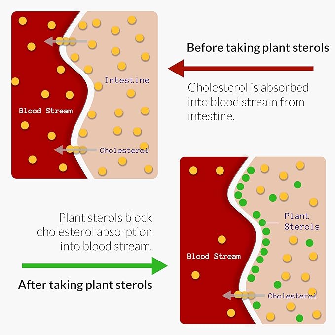 UpNourish Plant Sterols Citrus Bergamot Supplement with CoQ10 Omega 3 Olive Leaf Turmeric Curcumin Black Garlic and Niacin - 120 Softgels