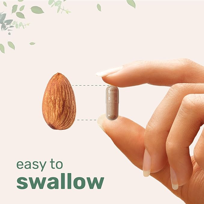 Liver Advanced+ 240 Veggie Capsules | 20-in-1 Complex with Milk Thistle Dandelion NAD NAC ALA TUDCA Glutathione Artichoke Turmeric &amp Astragalus | Non-GMO Gluten Free