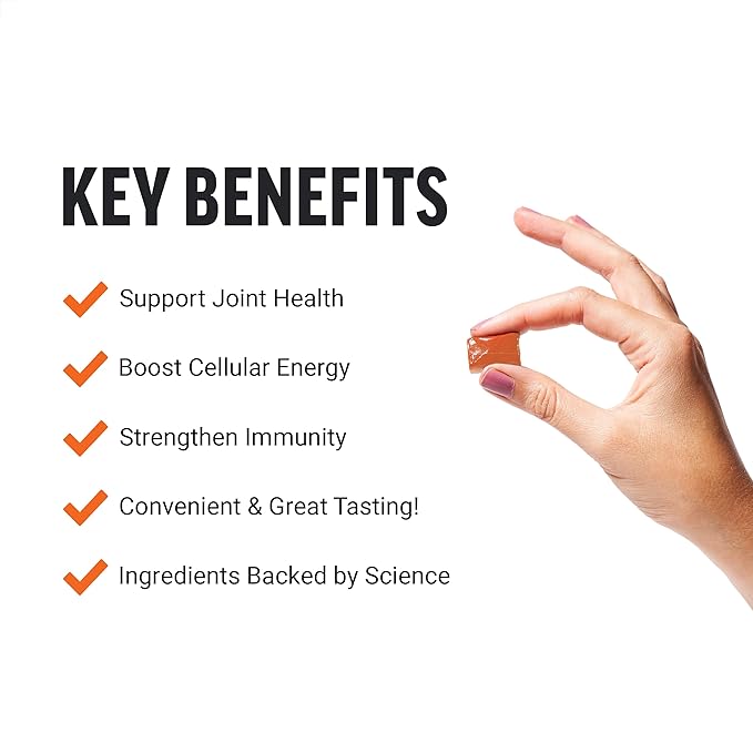 Force Factor Better Turmeric Joint Support Supplement for Extra Strength Joint Health &amp Modern Mushrooms Soft Chews Mushroom Supplement with Lions Mane Turkey Tail