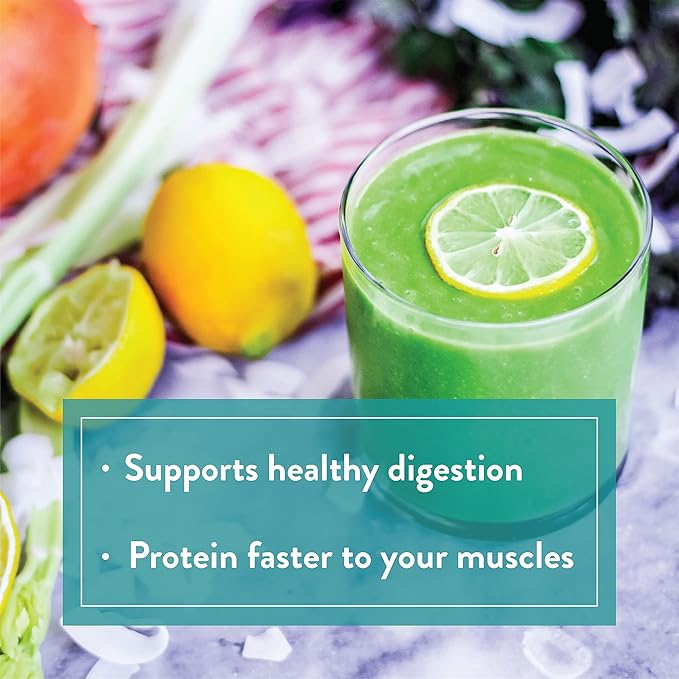 VIDAPURA Keto-Green Protein Shake by Dr. Anna Cabeca – Chocolate Vegan Protein for Daily Wellness Energy &amp Smooth Digestion – 40 Servings