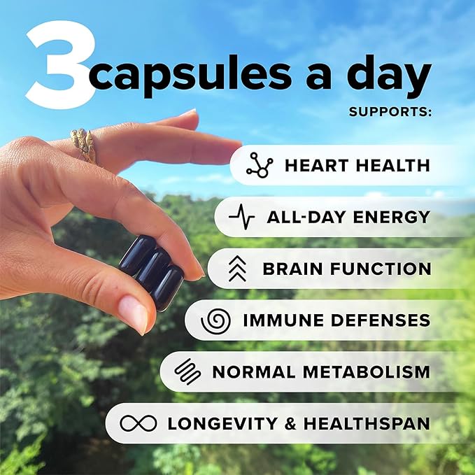 Complement Omega Complex &amp Essential Multivitamin Bundle – Comprehensive Vegan Nutritional Support for Optimal Health and Wellness (30 Servings Each)