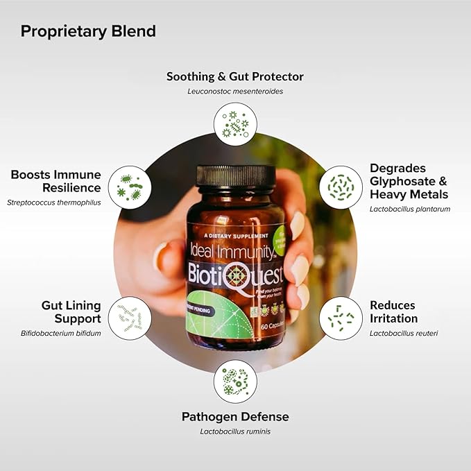 BiotiQuest Ideal Immunity Probiotics to Balance Your Gut and Build Immune System Resilience 12 Billion CFU Non-GMO and Gluten Free 60 Capsules