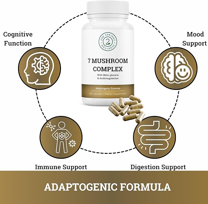 Brain Longevity Stack - ALA &amp ALC Complex + Adaptogen Complex + 7 Mushroom Complex + Brain Support + Magnesium Bisglycinate Bundle | Energy Focus Stress Support Immunity Cognitive Function