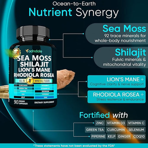 Adndale Sea Moss Capsules - Sea Moss Blend with Shilajit Lion's Mane Rhodiola &amp CoQ10-90 Count