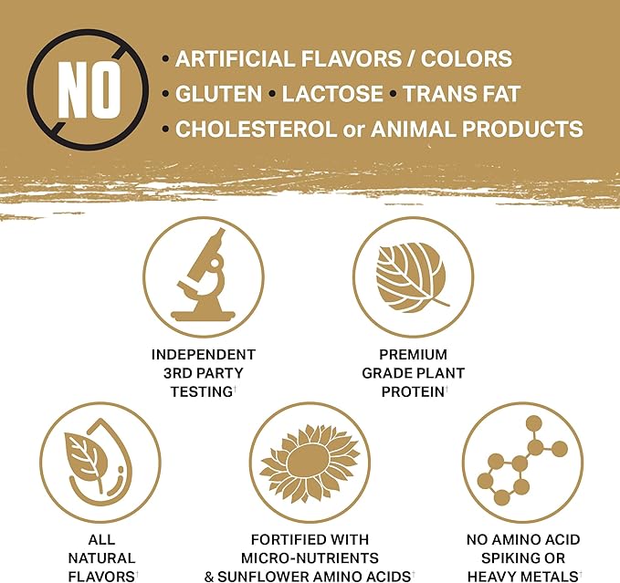 Ambrosia Planta - Plant-Based Protein Powder 20g | Dairy Free Vegan Protein Powder with BCAA Amino Acids | Keto-Friendly No Added Sugar | 25 Servings | Candy Bar
