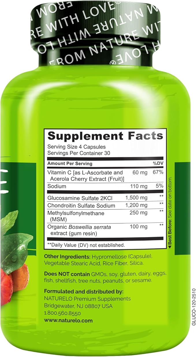 NATURELO Glucosamine Chondroitin MSM with Boswellia and Vitamin C - Supplement for Joint Comfort Mobility and Strength - 120 Capsules (Pack of 2)