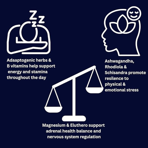 Adrenal &amp Cortisol Support Cream – Stress &amp Energy Balance | Ashwagandha Rhodiola Ginseng Magnesium | 4 oz – Adrenal Revive by King &amp Queen Wellness