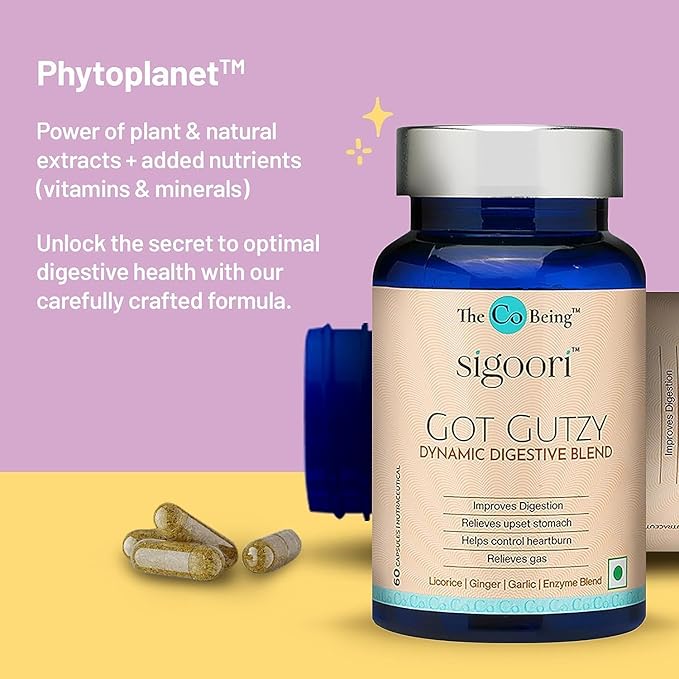 Gut Health Supplements for Men and Women Got Gutzy Contains Turmeric Ginger Licorice Aloe Vera and Digestive Enzymes for Digestive Health Acidity Constipation Nausea 60 Capsules.