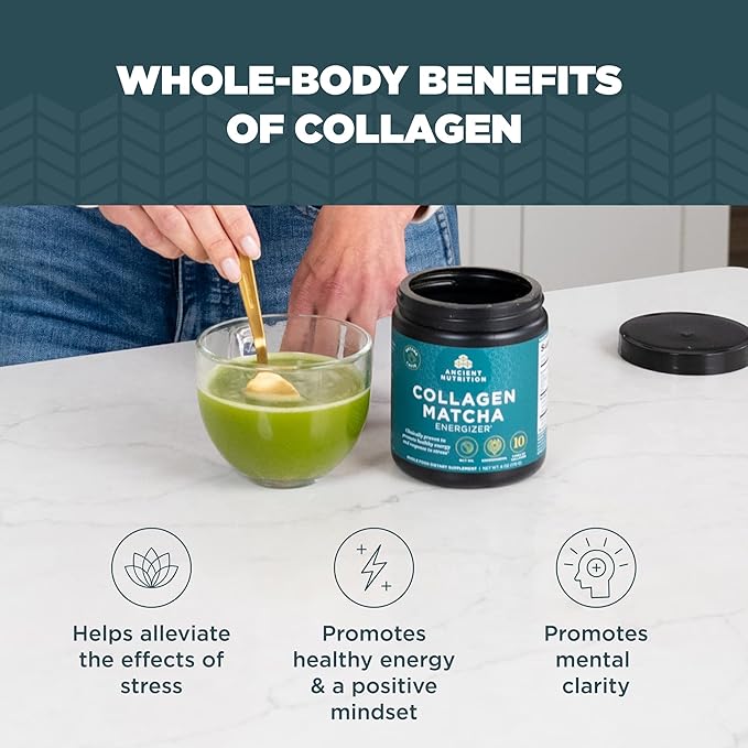 Ancient Nutrition Matcha Powder with Collagen Collagen Matcha with MCTs &amp Ashwagandha for Energy Metabolism Skin Hair and Gut Health 20 Servings
