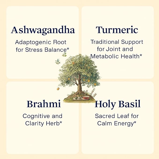 Sun Vitals Adaptogen Complex – Ashwagandha Turmeric Brahmi &amp Holy Basil | 16 Ayurvedic Botanicals | Stress Balance Cognitive &amp Digestive Support | Triphala Shilajit &amp Cordyceps | 60 Ve