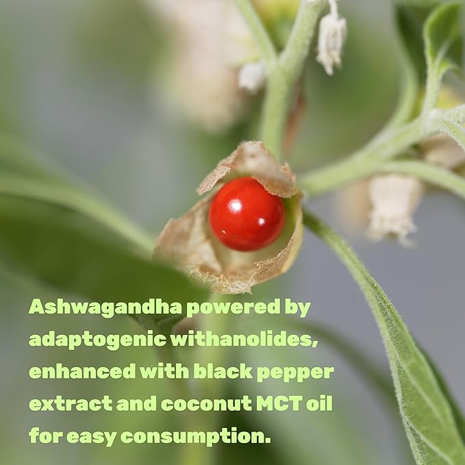 DEAL SUPPLEMENT Ashwagandha Extract 300mg with Black Pepper Extract 240 Softgels – Ayurvedic Root Extract with Added MCT Oil – Active Withanolides – Non-GMO Lab Tested