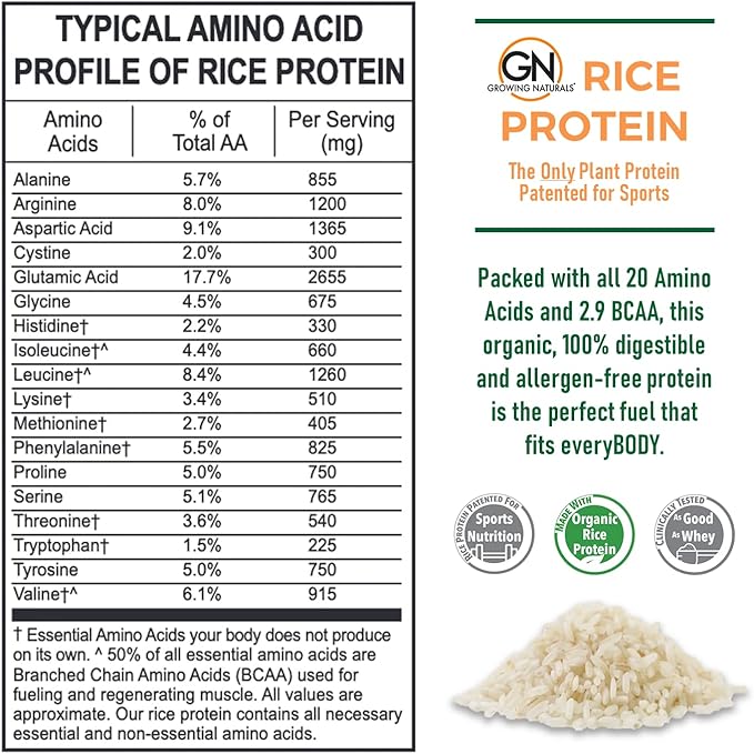 Growing Naturals Organic Rice Protein Powder - 15g Plant Protein 2.8G BCAA - Low-Carb Low-Sugar Non-GMO - Vanilla Blast 2 Pound (Pack of 1)