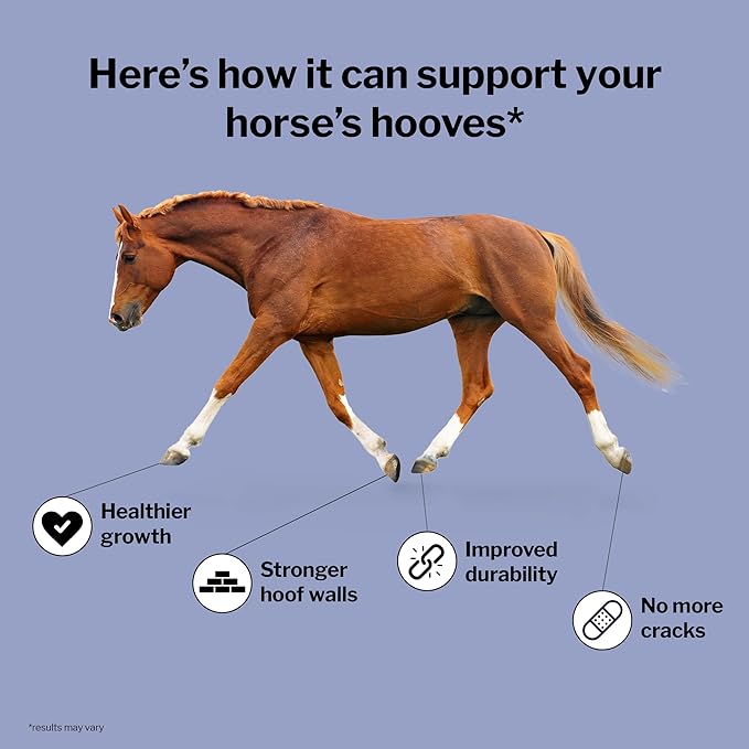 Formula 707 Hoof Health Equine Supplement Daily Fresh Packs 56 Day Supply - Biotin Amino Acids and Minerals to Improve and Support Healthy Horse Hooves