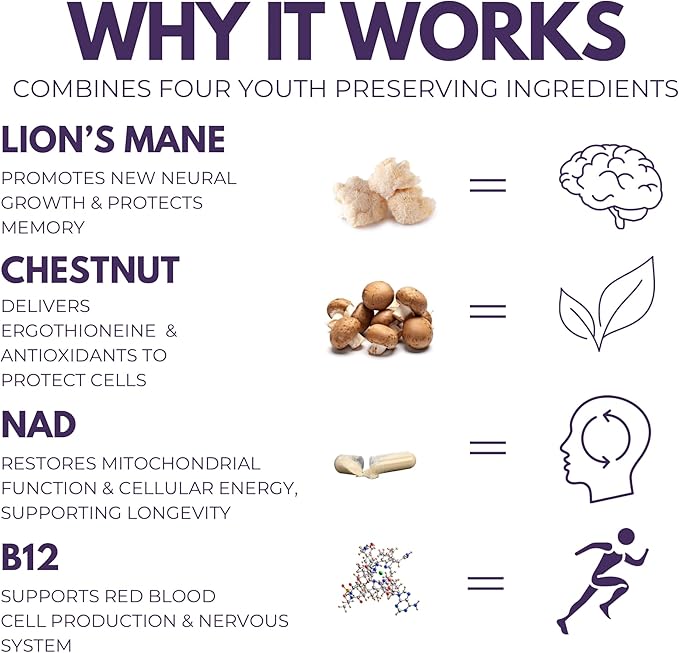 Everyday Youth - Anti-Aging Supplement - Brain &amp Cellular Energy Formula – Lion’s Mane Chestnut NAD B12 + Beta-Glucans - 120 Vegan Capsules