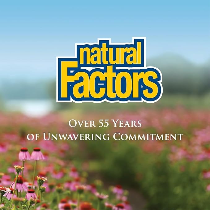 Natural Factors Turmeric &amp Bromelain 450 mg Muscle and Joint Support 90 Capsules