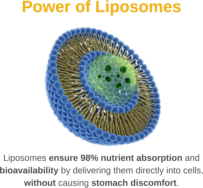 Liposomal Men's Liquid Multivitamin Drops | Non-GMO | Sugar Free | Gluten Free | 30 Day Supply | Supports Immune System Muscle Health Cellular Energy Production