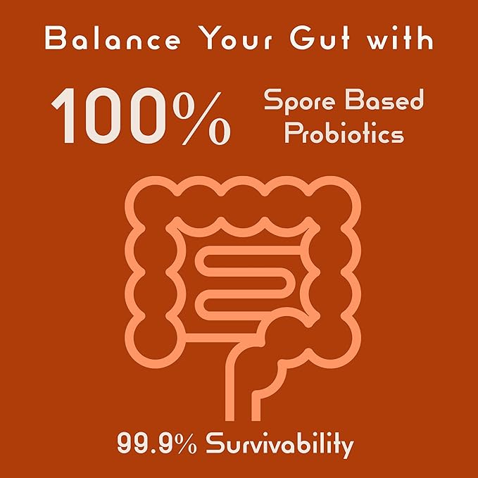 Bacillus B3 Probiotic Complex &amp Enzymes – 100% Spore-Based Organisms - SBO - Better Survivability - Bacillus Coagulans Bacillus Subtilis &amp Bacillus Clausii - Non GMO - 60 Capsules