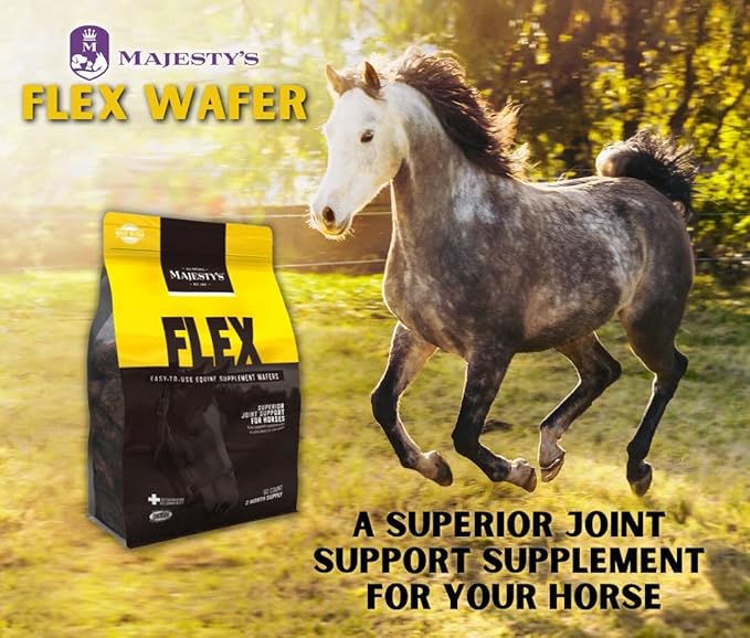 Majesty's Flex Wafers - Superior Horse/Equine Joint Support Supplement - Glucosamine MSM Chondroitin Yucca Vitamin C (Regular 2 Pack (120 Count Total))