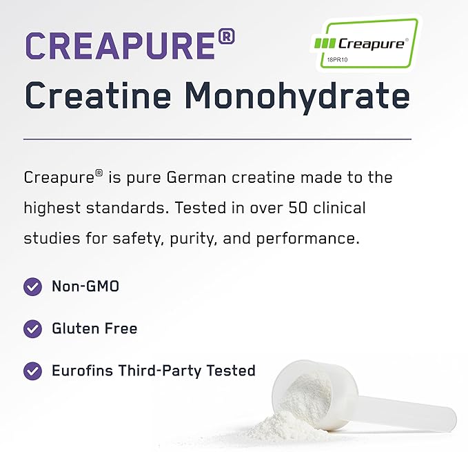SteelFit Creapure Pure Creatine Monohydrate Powder for Men &amp Women Grape - Flavored Creatine Gym Workout Supplements for Lean Muscle Gain Brain Health &amp Strength Building - 30 Servings
