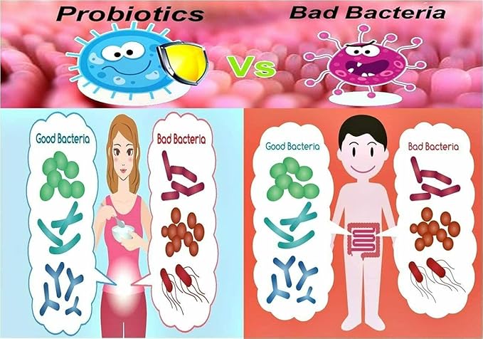 NOVA Probiotics Multi-Strain Ultra Strength Plus+ 100 Billion Probiotics per Capsule-30 VCaps