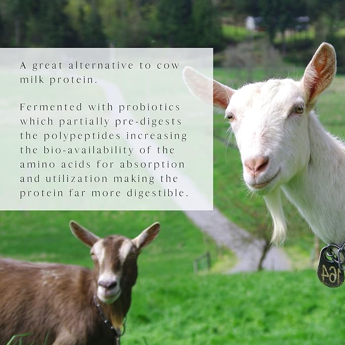 Mt. Capra Caprotein | Casein Protein Concentrate Fermented Goat Milk Protein from Grass-Fed Pastured Goats Extremely Easy to Digest | Vanilla Bean | 23 Servings - 16 oz